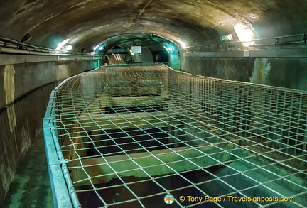 Mesh wire over the canals to ensure no one falls in